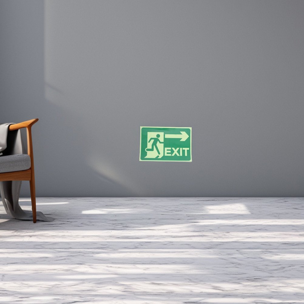 4 stuks Glow-in-the-dark noodu - Emergency Exit Sign recensie en prijs